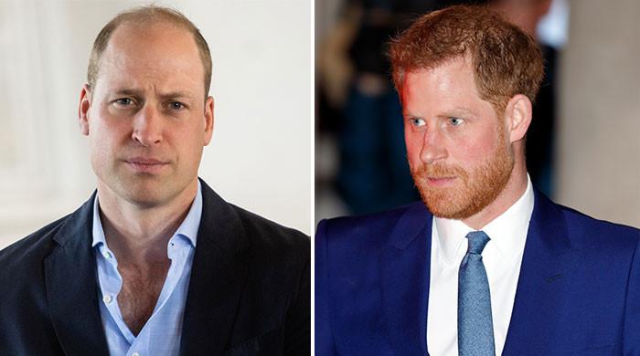 Prince William, Prince Harry ‘unable to forgive’: ‘The bad blood is ...