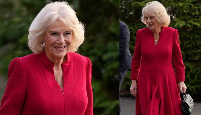 Queen Camilla 'can't Save Monarchy'