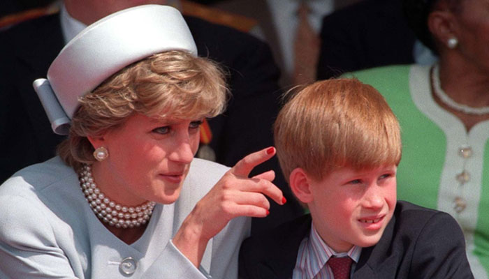 Prince Harry had no cognitive skills to discuss about Princess Diana