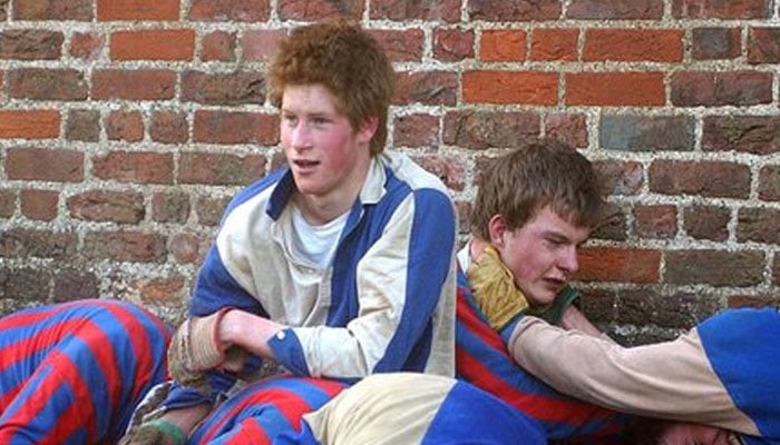Prince Harry played THIS character in Shakespeare play at school