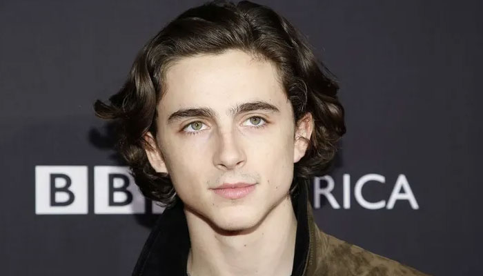 All About the Bob Dylan Biopic Starring Timothée Chalamet