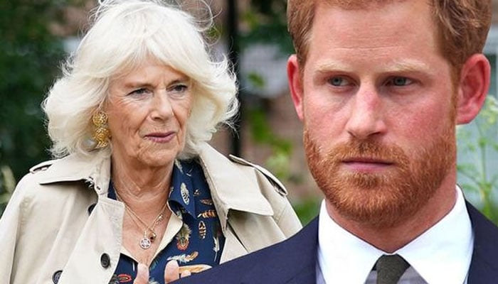 Prince Harry told himself no hard feelings as King Charles moved on with Camilla