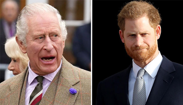 King Charles ‘cant put up’ with Prince Harry ‘spreading stain on his reign’