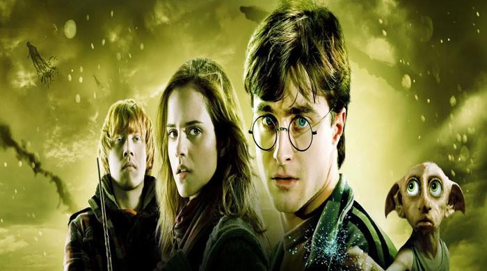 Harry Potter Series: Everything to Know