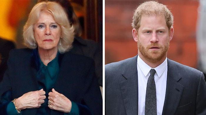 Queen Camilla Was ‘hurt’ By Prince Harry’s Memoir That Called Her ‘villain’