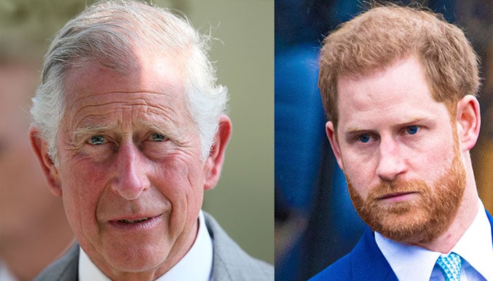 King Charles knew Prince Harry youth was to blame for Nazi outfit