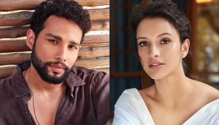 Dhadak 2: Siddhant Chaturvedi to play lead alongside Tripti Dimri