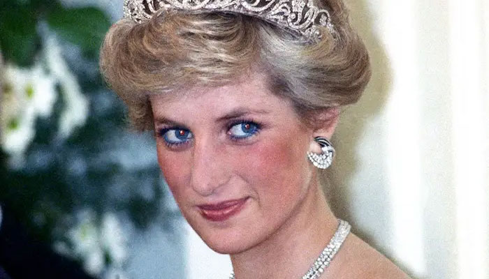 Princess Diana was hunted by wild dogs after Paris accident