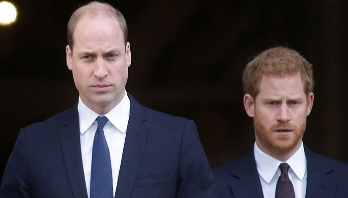 Prince Harry admits Prince William cares about 'Heir-Spare nonsense'