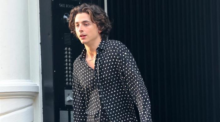 Timothee Chalamet Tries to Stay Under the Radar While Out in NYC