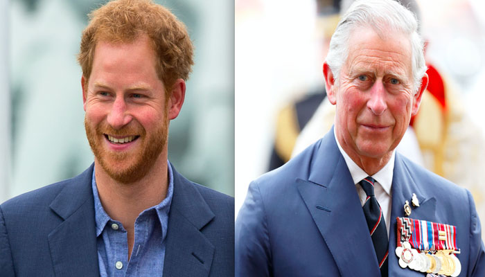 Prince Harry felt byuoyant the moment King Charles praised dedication to work