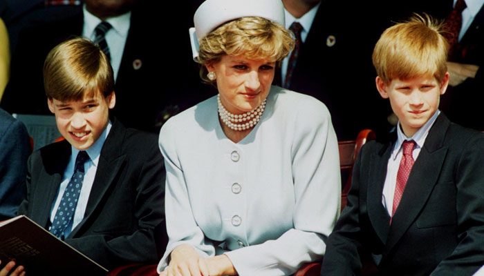 Prince William and Prince Harry should consider reconciliation 'for Diana'