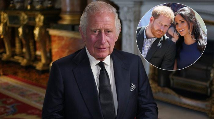 King Charles not ‘obsessed’ with drama surrounding Prince Harry and ...