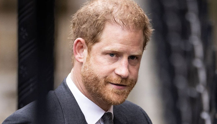 Experts questions ‘what the hell’ can Prince Harry ‘do with the decades ...