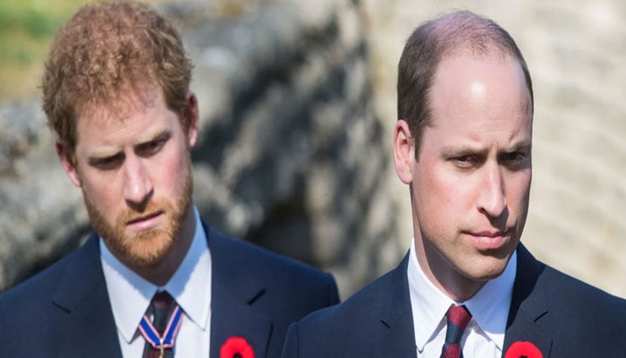 Prince Harry wonders if Prince William walk behind his coffin after death