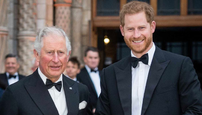 Prince Harry seeking ‘reassurances’ from King Charles because he’s ‘homesick’