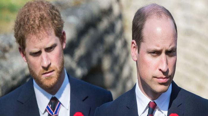 Prince Harry wonders if Prince William 'walk behind his coffin' after death