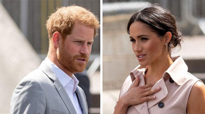 Prince Harry ‘not skilled enough’ to milk royal brand like Meghan Markle