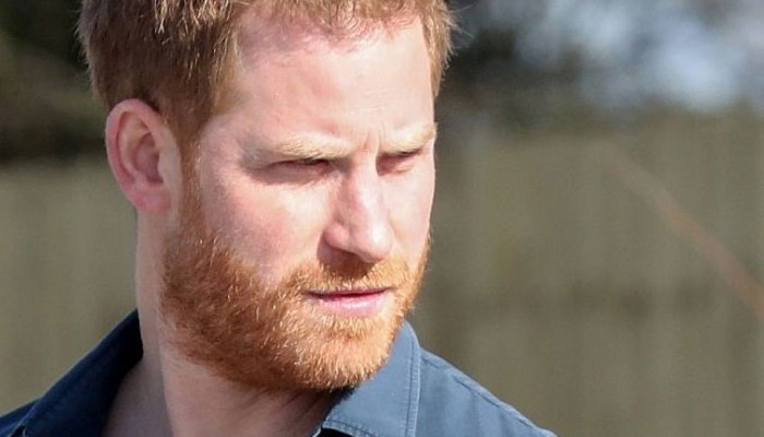 Prince Harry should know ‘two decades is sufficient time to process’ Diana’s death