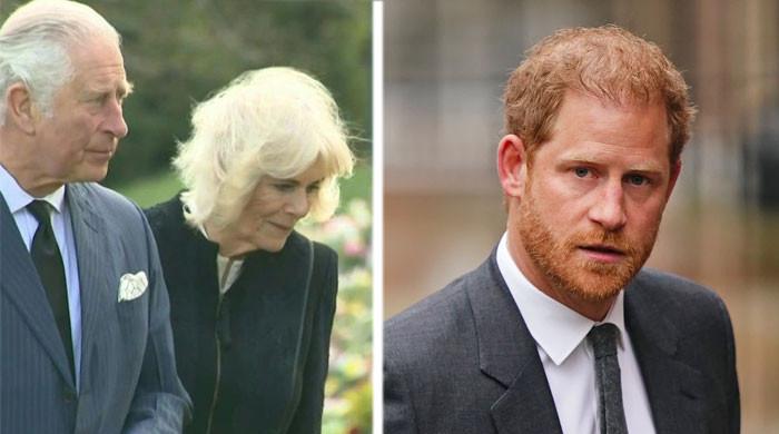 Prince Harry sparking ‘a long wistful sigh’ after ‘rattling old bones ...