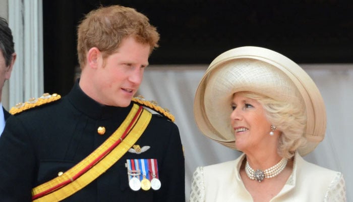 Queen Camilla Won’t Forgive Prince Harry Over His Scathing Allegations ...