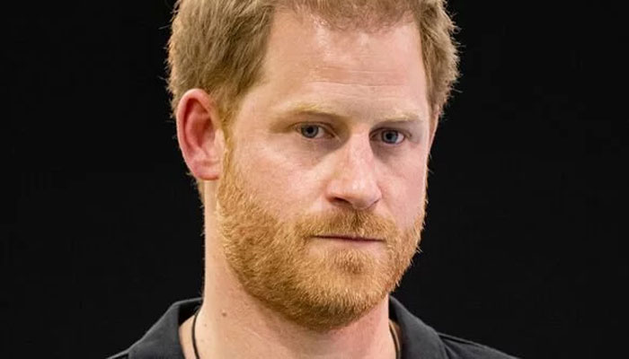 Prince Harry’s ‘lingering notions of paternal bonding sessions’ have ...