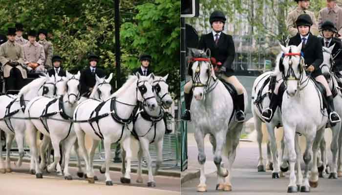 Royal Mews prepare for King Charles coronation: Pictures, names revealed