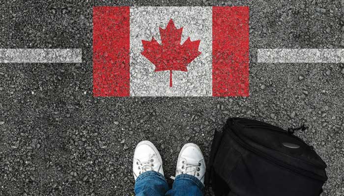 A person stands asphalt bearing a pianted Canadian flag in the image. — Twitter