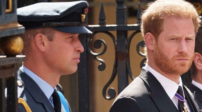 Prince Harry did not want to 'out' Prince William friends in fear of ...