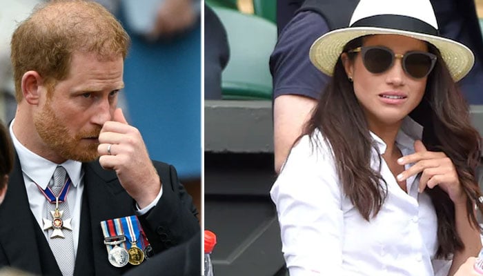 Meghan Markle ‘could’ve easily’ let Prince Harry clear ‘contemptible insults but no’