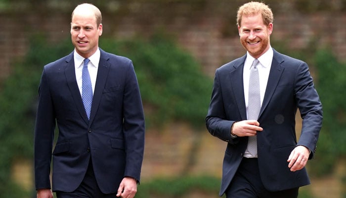 Prince Harry, Prince William should just have ‘courage to WhatsApp the other’