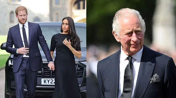 Will King Charles remove Prince Harry, Meghan Markle's royal titles?