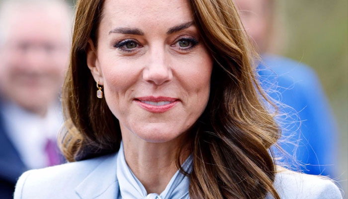 Kate Middleton ‘spinning all those plates simultaneously’ is ‘almost ...