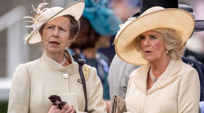 Princess Anne upset with Queen Camilla for dropping Consort from title