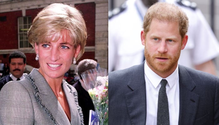 Prince Harry understands what happened with Princess Diana after car chase