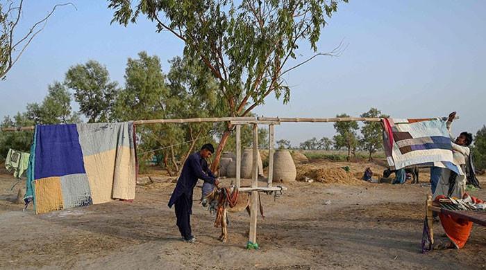 Latest Weather Forecast For Sindh