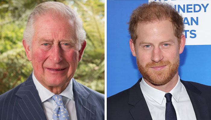 King Charles gives a subtle nod to son Prince Harry during royal engagement