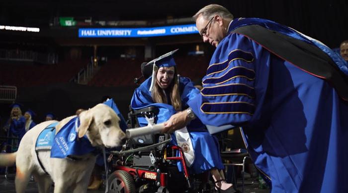 New Jersey Service Dog Receives Honorary Diploma Alongside Owner