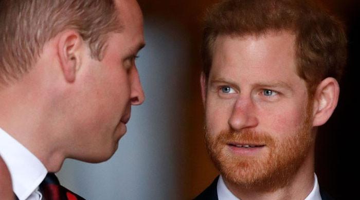 Prince Harry Is ‘too Alienated’ To Maintain Relationships: ‘No One ...