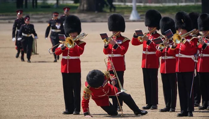 Prince William issues statement as soldiers faint during Trooping the Colour rehearsal