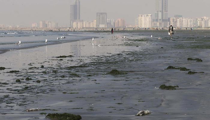 A view of waste seen on the sea view beach on January 30, 2023. — INP