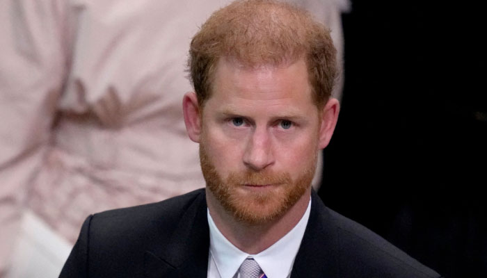 Prince Harry lookalike fortunate to earn with Royal Family members looks