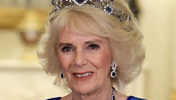 Queen Camilla became awkward to guests with hugging faux pas