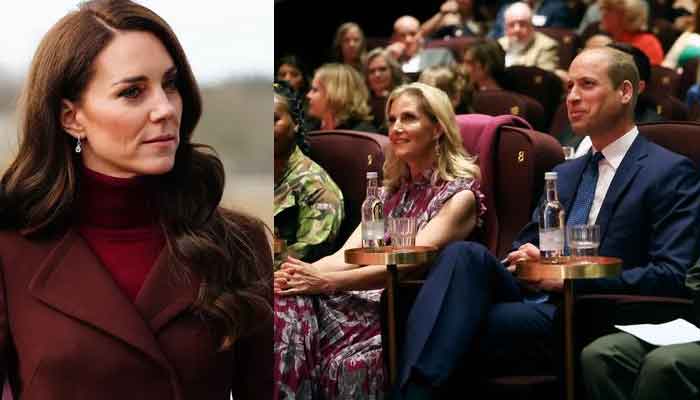 Why Sophie, not Kate, joined Prince William for film screening?