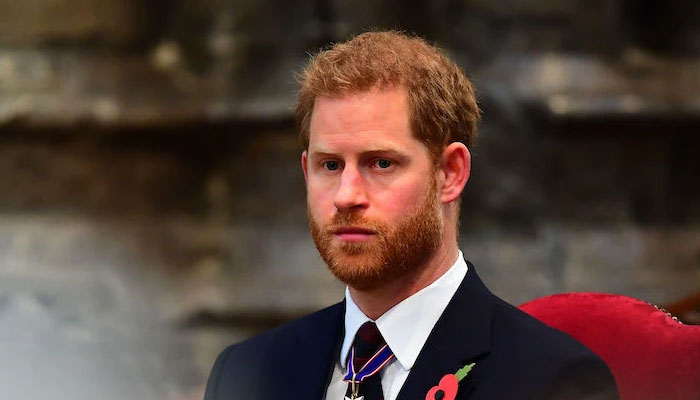 Prince Harry’s ‘personal assistant should be pitied’: ‘Squeezing work ...