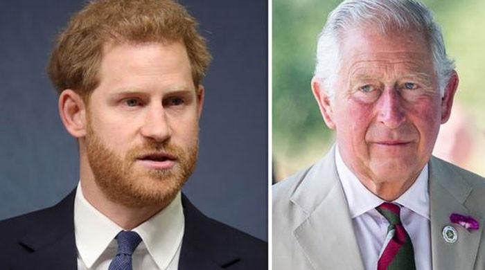 King Charles’ bid to ‘cut the duke and duchess loose’ to ‘blow up in ...