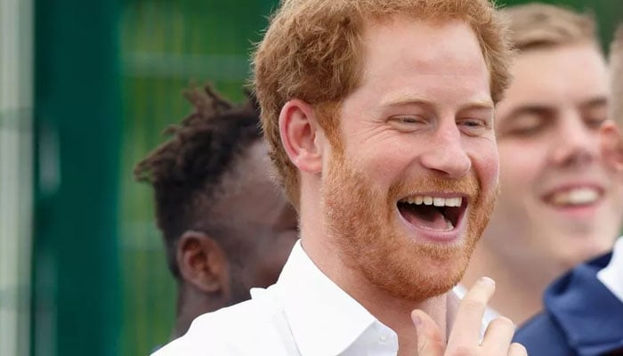 Prince Harry is a ‘middle-aged professional buffoon’ attended to by ‘nannies’