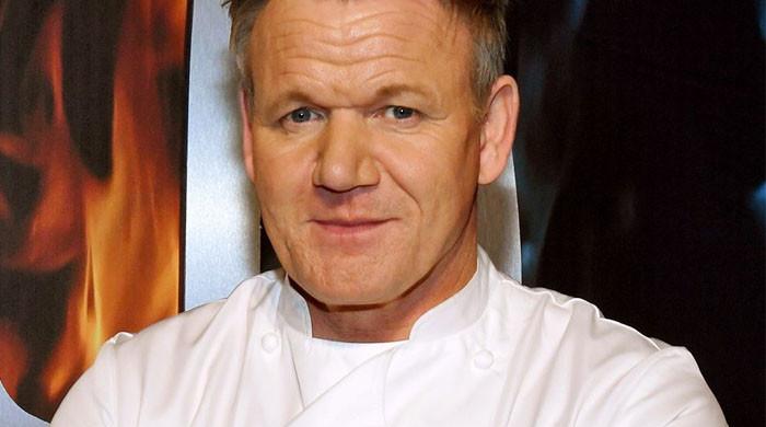 Rolls Royce of Pans'? Automaker Targets Gordon Ramsay's Promotion