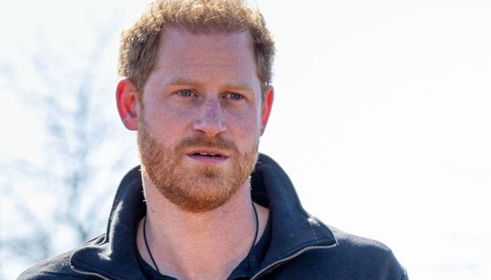 Prince Harry Can’t Bear The Thought ‘the World May Have Ceased To Love’ Him