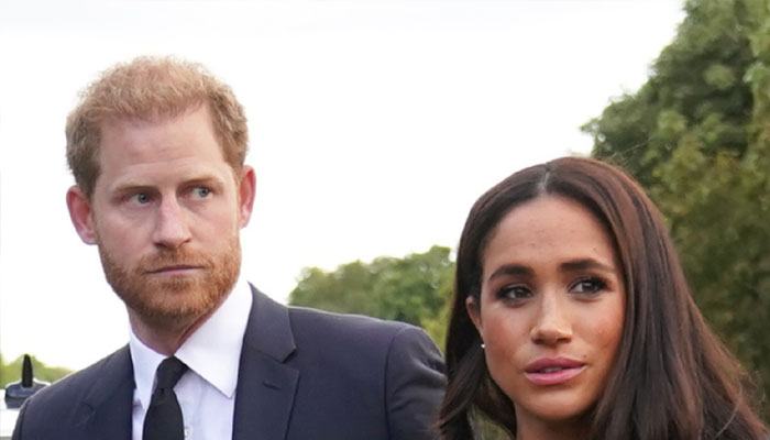 Prince Harry, Meghan Markle have been left in exile to ‘fend for themselves’